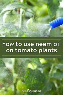 Can You Spray Neem Oil on Tomato Plants? Exploring the Myths and Realities of Organic Gardening