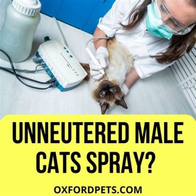 Do All Unneutered Male Cats Spray? Exploring Feline Behavior and Beyond