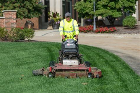 How Fast Does Weed and Feed Work: Unraveling the Mysteries of Lawn Care Efficiency