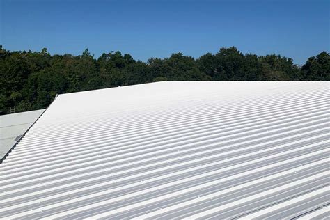 What is the Best Coating for Metal Roof? And Why Do Some People Think It’s a Secret Sauce for Longevity?