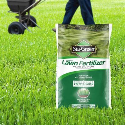 What is the Best Fertilizer for Lawns, and Can It Also Make Your Grass Sing Opera?